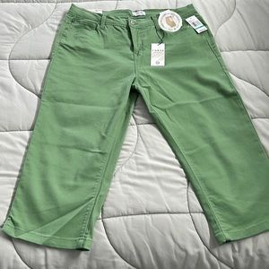 CURVE APPEAL CAPRI PANTS